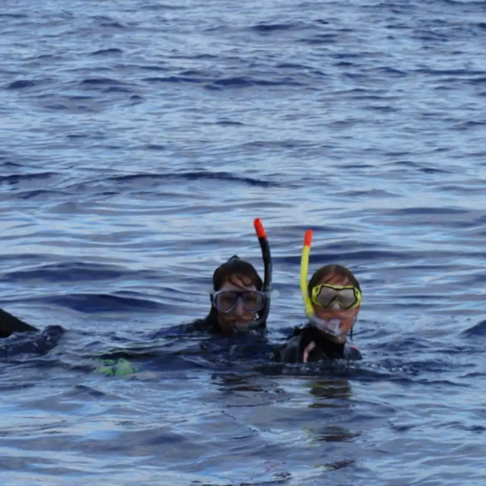 2011-07-24 - Delfinschwimmen