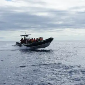 2011-07-24 - Delfinschwimmen