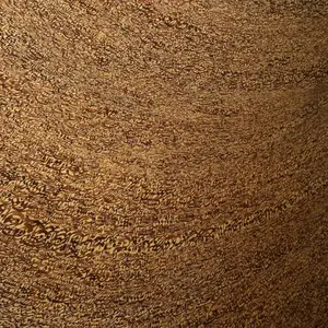 TMoCA (Tehran Museum of Contemporary Art)