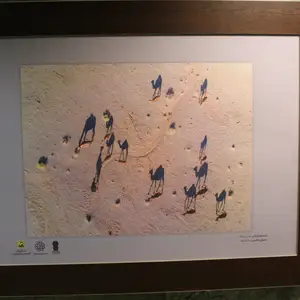 2017-04-21 - Tehran Subway Art