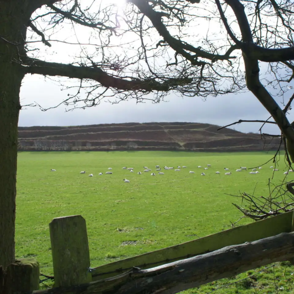 2011-02-27 - Old Oswestry Hillfort