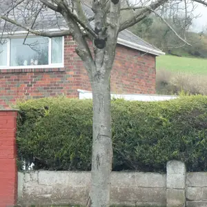 2011-02-28 - Near Dartmouth