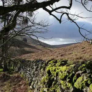 2011-02-27 - Near Pistyll Rhaeadr Waterfalls