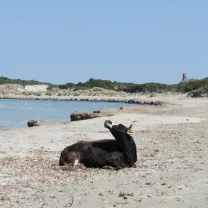 2013-04-19 - Cap Corse