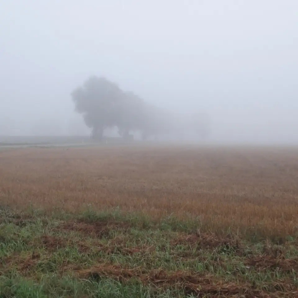 2012-08-17 - Abfahrt im Nebel