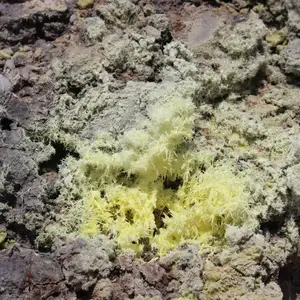 2017-08-28 - Schwefel Ablagerungen