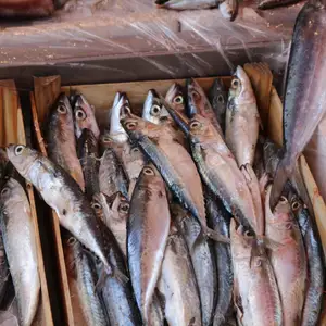 2017-08-21 - Markt in Palermo