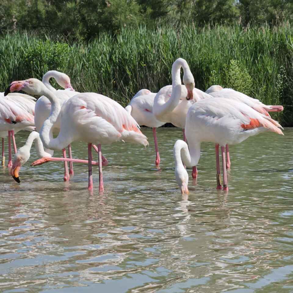 2024-06-09 - Südfrankreich 2024
