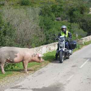 2014-01-05 - Korsika 2013