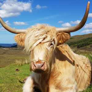 2018-10-28 - Schottland 2018